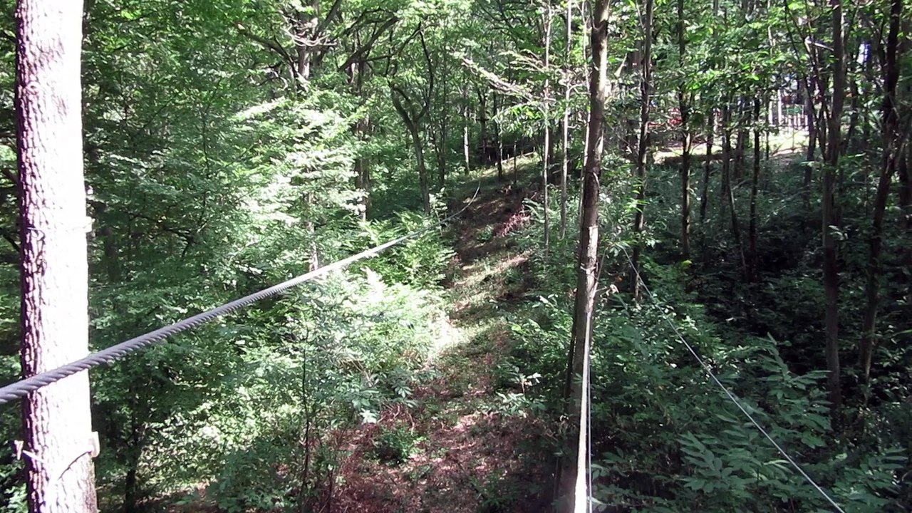 Accrobranches aout 2015 2/2