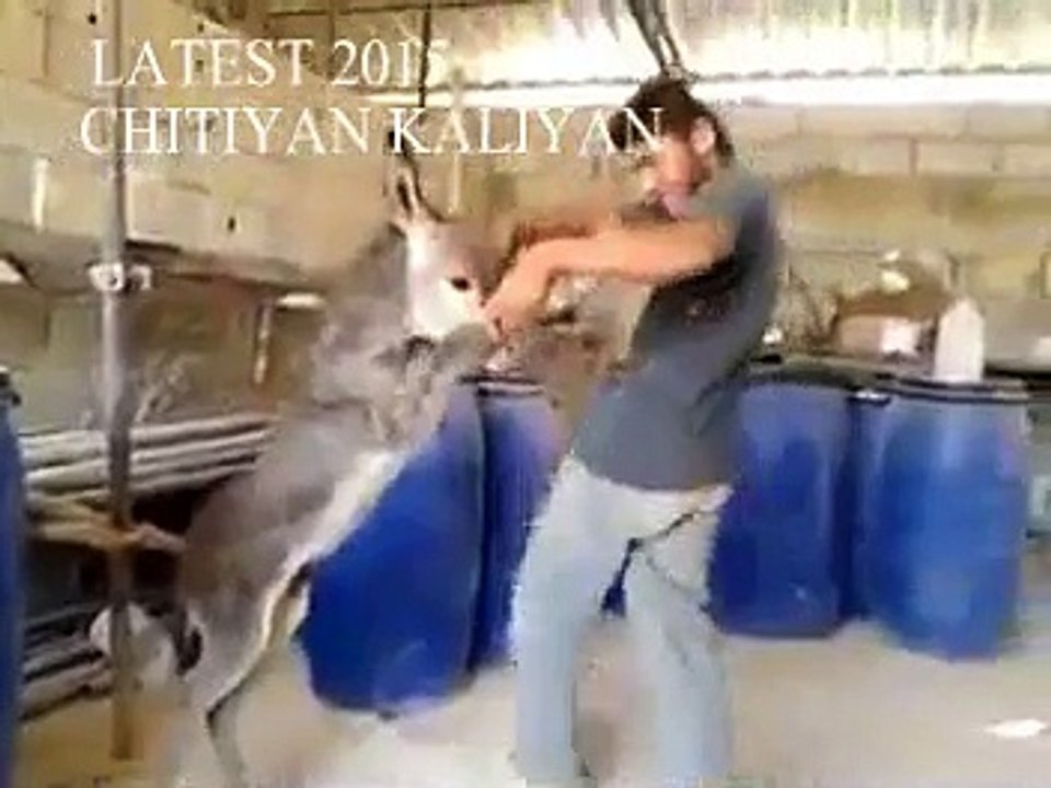 CHITIYAN KALIYAN WAY