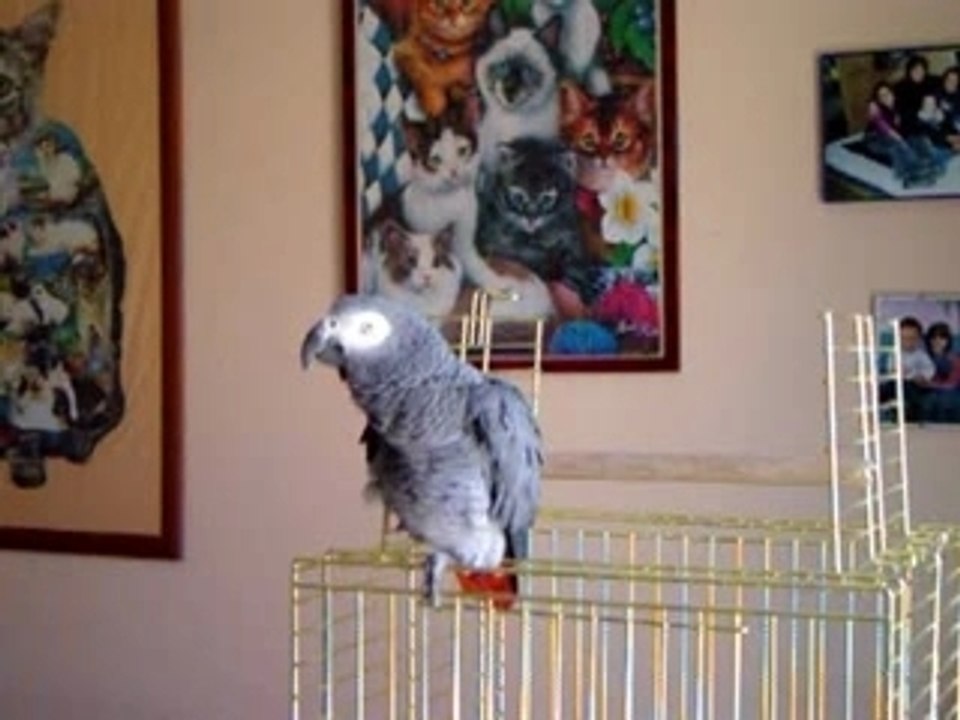 Filou
