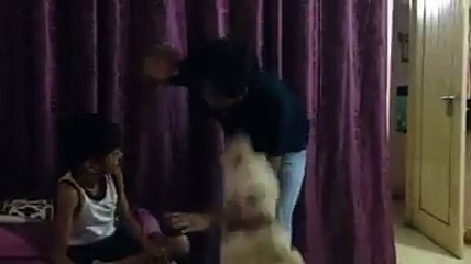 Amazing !  Dog protect a childe Wow