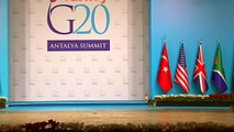 Funny Turkish cats on G20 summit