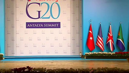 Funny Turkish cats on G20 summit