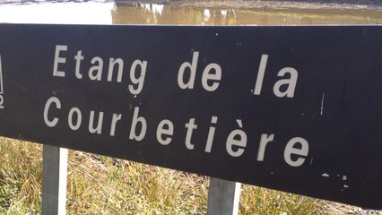 L'étang de la Courbetière est à marée basse