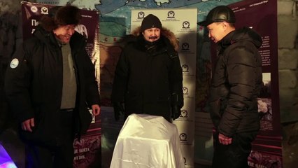 Des lionceaux retrouvés congelés 12 000 ans après leur mort