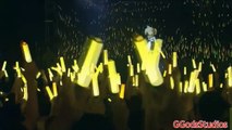 Hatsune Miku EXPO 2015 Concert Shanghai Rin Kagamine 炉心融解 Meltdown (HD)