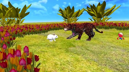 Lion And Tiger Cartoons Chasing Animals And Singing Finger Family Children Nursery Rhymes