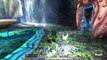 The Legend of Zelda: Majoras Mask Part 38 THE GOLDEN FISH (Nintendo 3DS Playthrough)