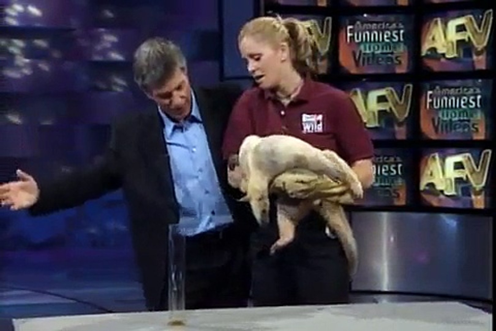 America s Funniest home Videos All Animal Extravaganza