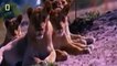 Lions Documentary National Geographic - African Lions Full Documentary