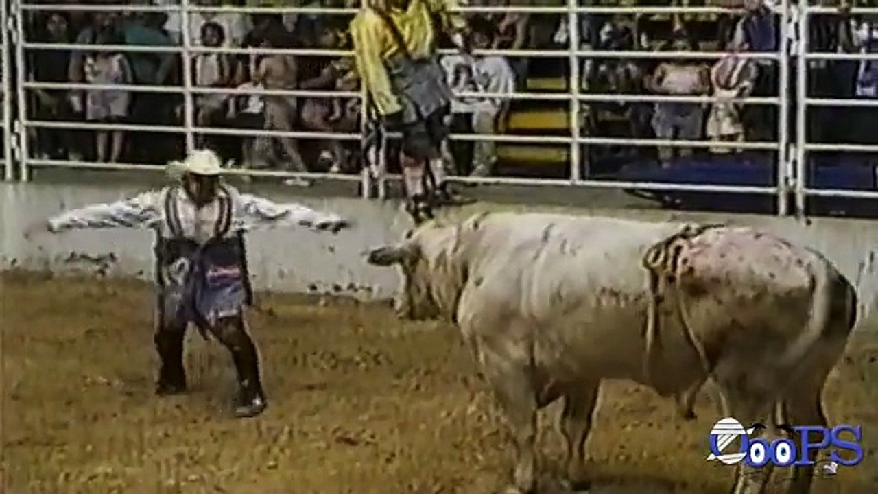 Bull fighting FUNNY VIDEOS