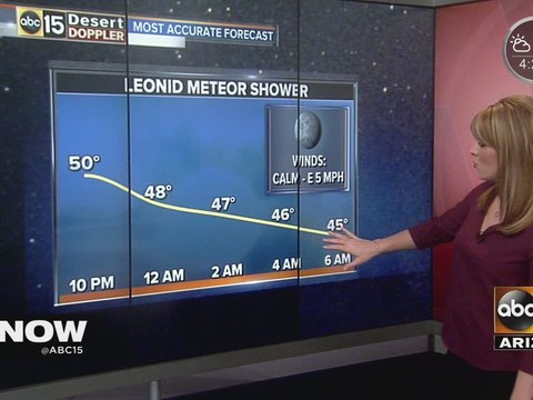 LOOK UP: Leonid meteor shower to peak overnight