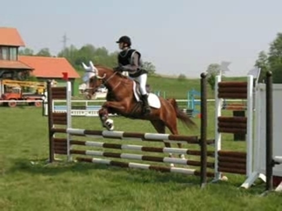 CCE neewiller