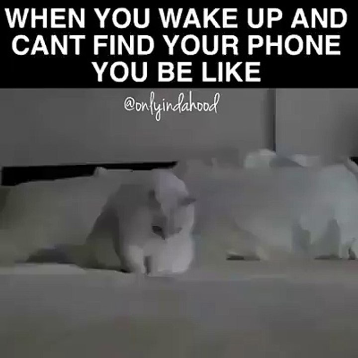 when you wake up and cann not find your mobile