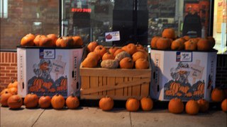 Recycle Pumpkins With Our Tree Farm