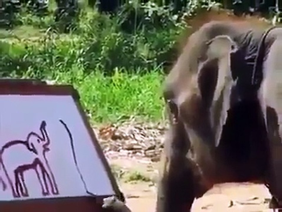 Paintaiing Elephant| WATCH Elephnat Painter