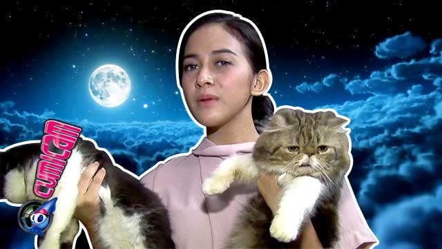 Nina Zatulini Tidur dengan Kucing - Cumicam 18 November 2015