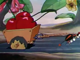 La Cigarra Y La Hormiga