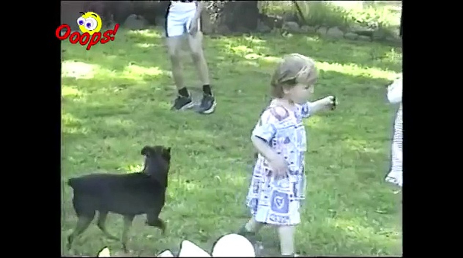 Funny Kids & Funny Dogs Compilation