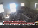 MCSO serves warrant at West Valley puppy mill