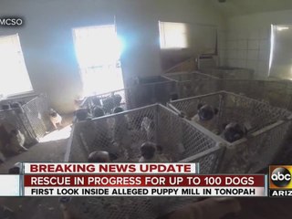 MCSO serves warrant at West Valley puppy mill