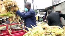 Cameroun: peaux de bananes et maïs transformés en charbon bio