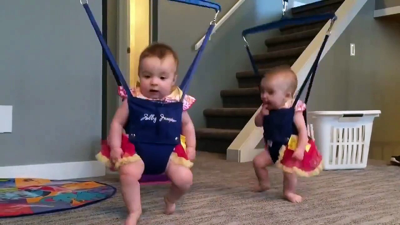 Cutest thing you will see all day