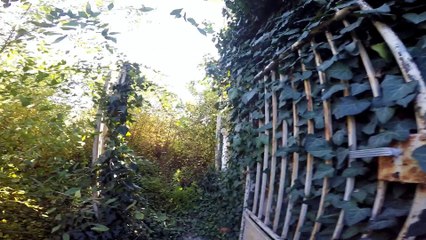 Costigliole d'Asti La casa abbandonata