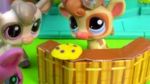 LPS Cookie Money Kreams Ice Creamery Littlest Pet Shop Part 16 Video Playing Series Cooki