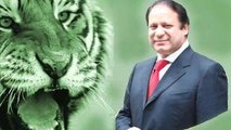 A SONG FOR GREAT NAWAZ SHREEF(PML N)_Google Brothers Attock.
