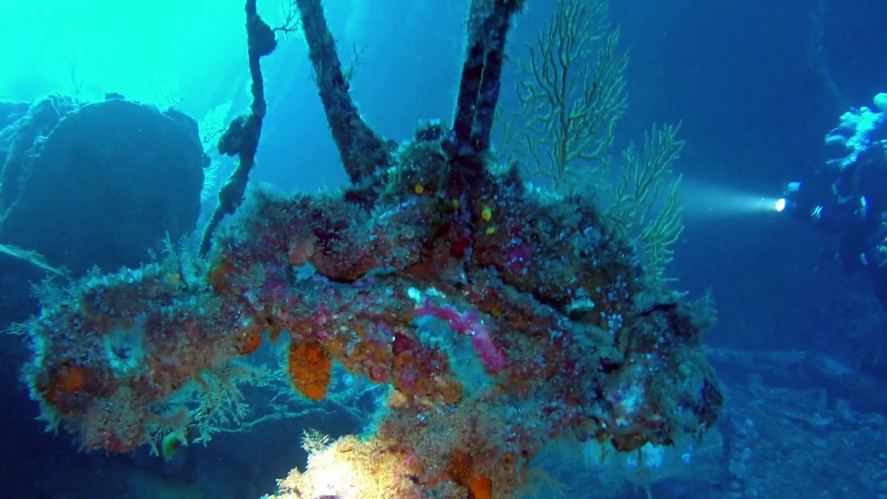 Plongée sur l'épave Le Chaouen (Marseille)