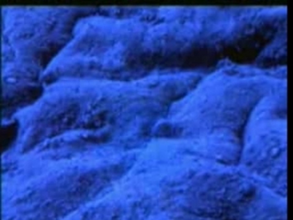 Les miracles du Coran part 15