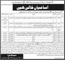 District And Session Court Tando Allahyar Jobs