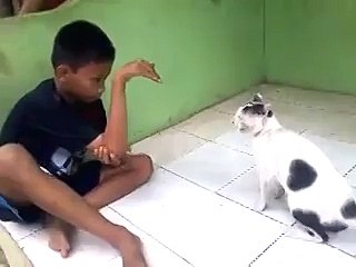 Çocuğun Kolunu Gerçek Yılan Sanan Kedi