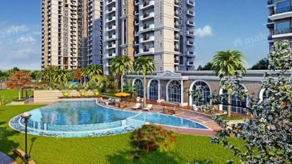 Exotica Dreamville Modern Lifestyle