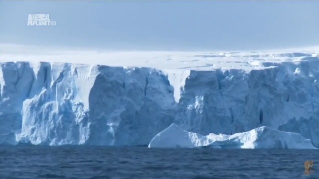 Чудеса голубой планеты . Антарктика 7 Серия