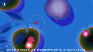 KOI Journey of Purity Gameplay HD Android iOS