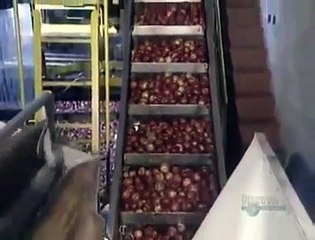 like apple juice   see how it makes in factory - JeeAli