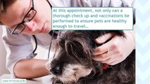 Tips When Traveling with Pets