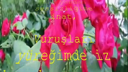 ŞİİR: İÇİMDE GÜZ, DIŞIMDA YAZ… (BOJİDAR ÇİPOF)