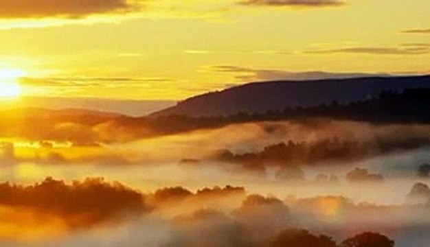 Soft Music to Relax -Morning Light- Relaxing and Recharge with Soft, Calming Piano Music