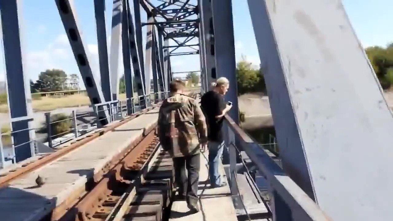 Les poisson-chats et carpes géante de Chernobyl : impressionnant!