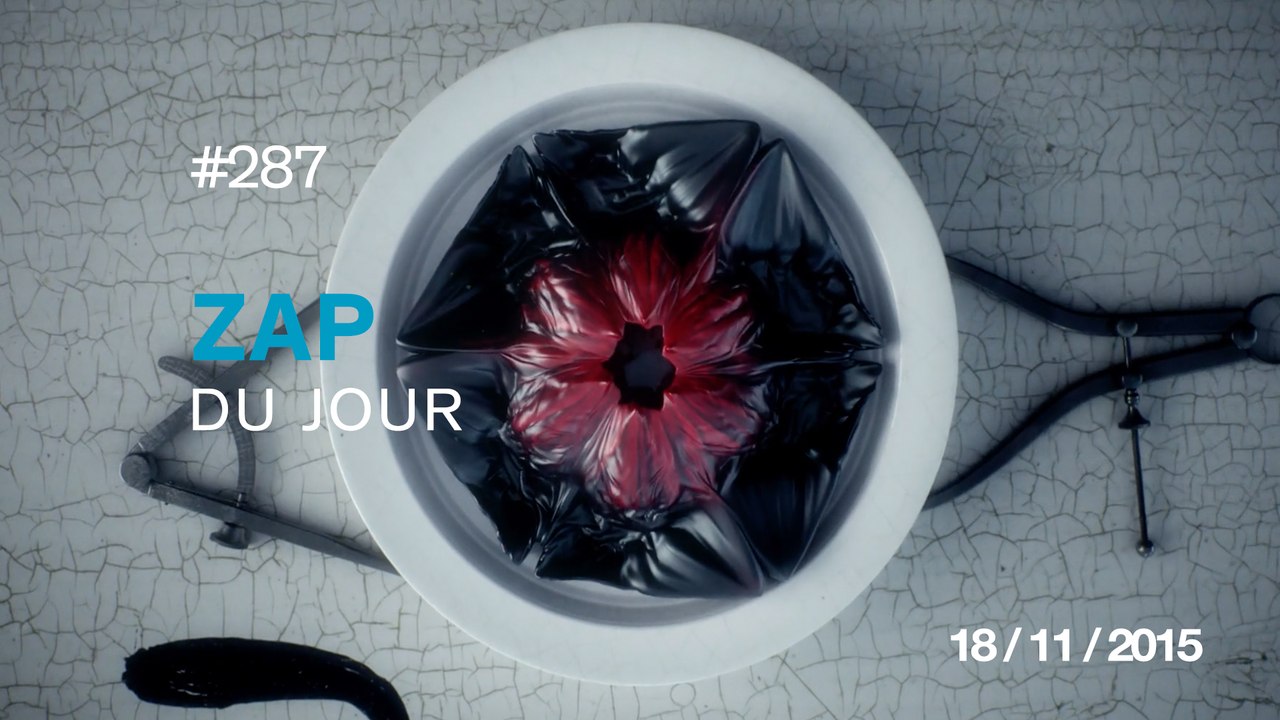 ZAP DU JOUR #287 : Chats VS Concombres / Zombie Flowers - Animation / Explore Alberta - Timelapse /