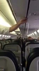 The Best Flight Attendant Ever