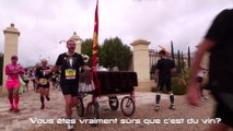 Marathon du Medoc 2015 du 12 ème au 16 ème km / replay  Medoc Marathon from  12 th km to 16 th km.