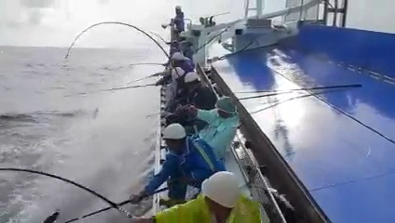 Démonstration d'une pêche miraculeuse !