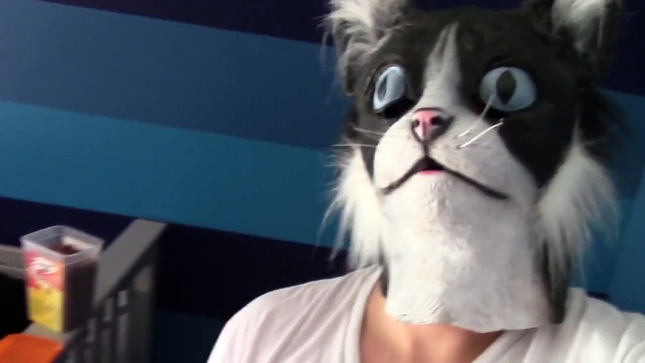 Hilarant : il effraye des chats avec... un masque de chat !