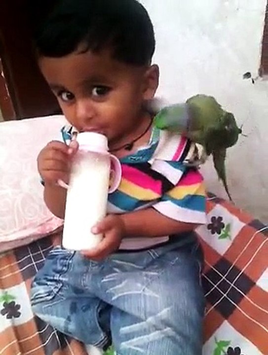ajab  ki dosti