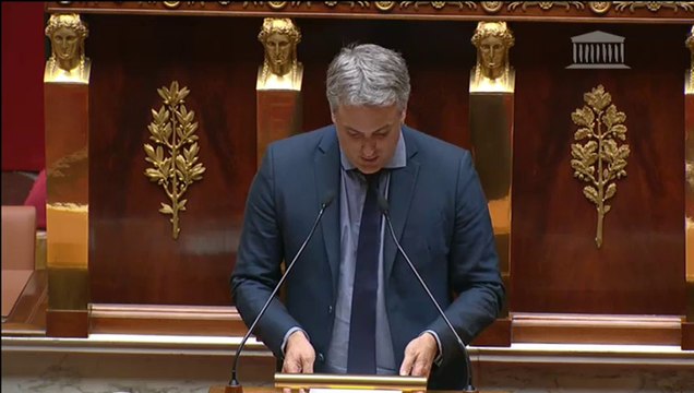 Intervention du député Denaja - séance publique AN - 17 novembre 2015 (PPL Dockers)