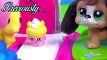 MLP Fashems Rainbow Dash Fluttershy Shopkins ROAD TRIP RV Camper My Little Pony Video Ser