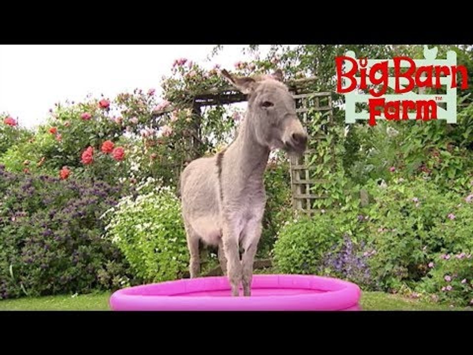 Show Stopper! | Big Barn Family | ZeeKay Junior